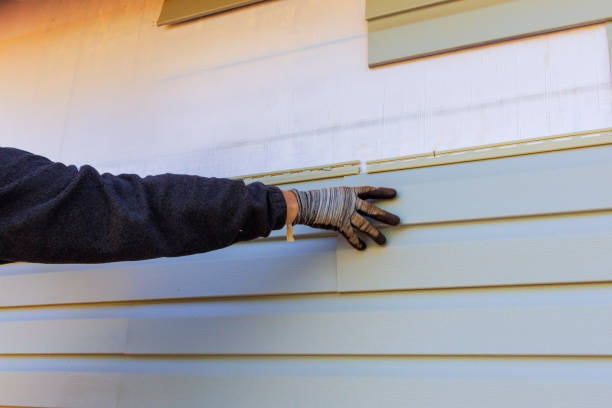 Best Insulated Siding Installation  in Los Alamos, CA